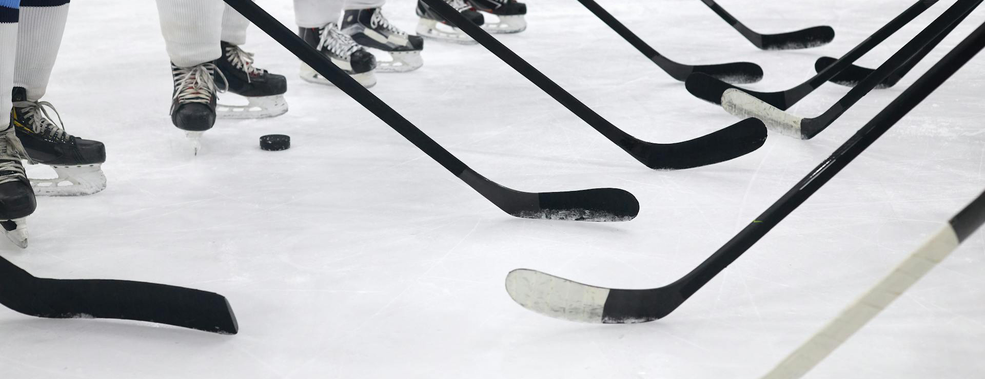 The Hockey Depot 1 The Hockey Depot -The Hockey Depot pexels tony schnagl 6468730